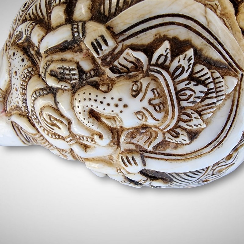 Conque gravée sur coquillage "Ganesh"