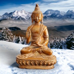 Bouddha TAMA Abhaya Mudrā
