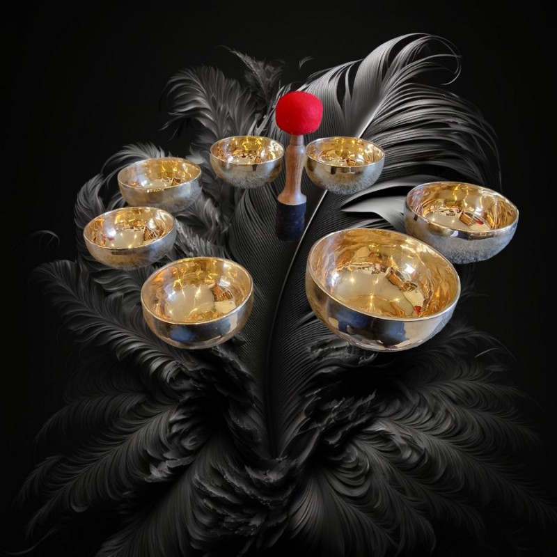 Set de sept bols 7 chakras qualité shiny avec une belle brillance